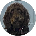 Betty C profile picture