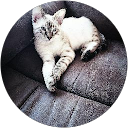Audra Pare profile picture
